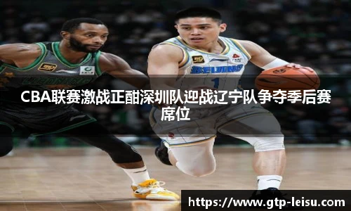 CBA联赛激战正酣深圳队迎战辽宁队争夺季后赛席位